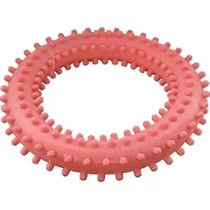 Купить Зооник игрушка для собак "кольцо с шипами № 1"