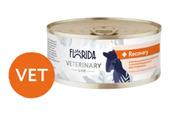 Florida vet Recovery, консервы для взрослых кошек и собак в период анорексии и послеоперационного восстановления
